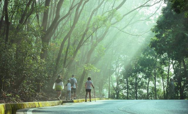 四川没想到，辽宁没想到，如今的中国东莞，已成为全国焦点