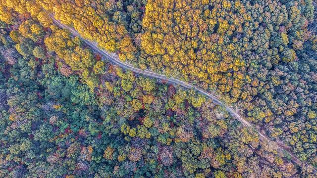 一键收藏!明光南部2025年秋景大赏