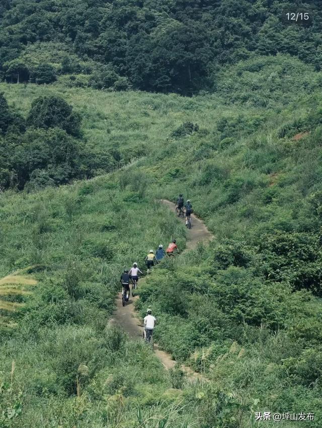 骑遇坪山① | 宝藏“高颜值”骑行线，拍出森系大片刷爆朋友圈
