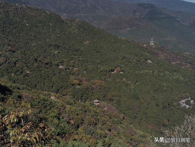 以我4次经历，带你打卡北京香山，北京的朋友请补充