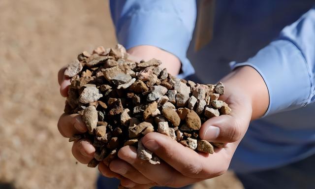 9国达成共识，日本等来救兵，越南下达禁令，中国稀土王牌告急？