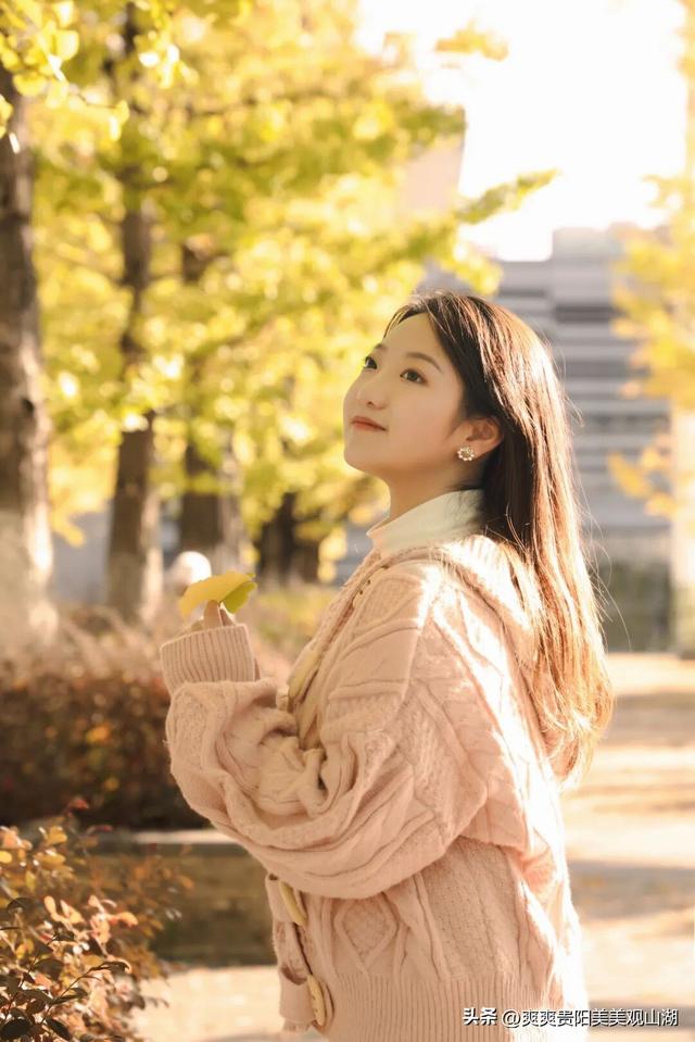 观山湖藏着一封金色情书，落款是银杏与梧桐（附最全攻略）