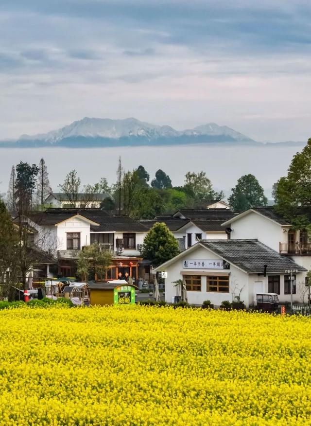 在崇州，邂逅春日版“千里江山图”