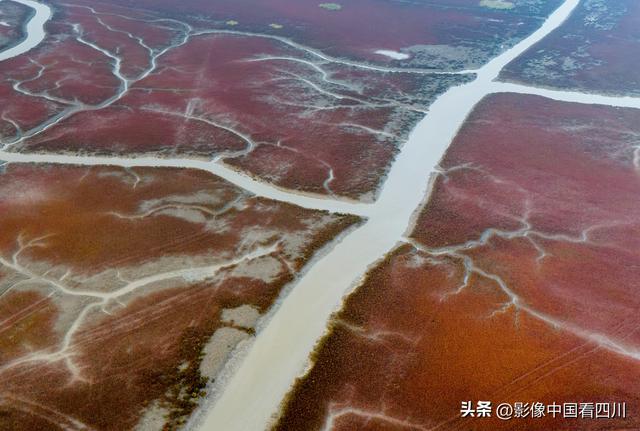 辽宁盘锦：红海滩国家廊道日出美景如画