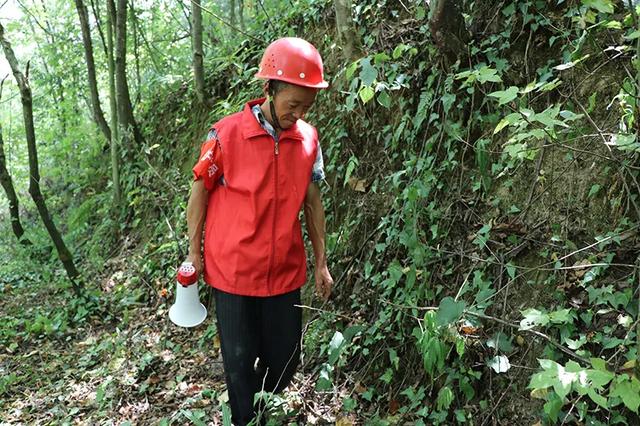 监守自盗! 2024年, 湖北一护林员在山里架980米电网, 冰柜中搜出肢体