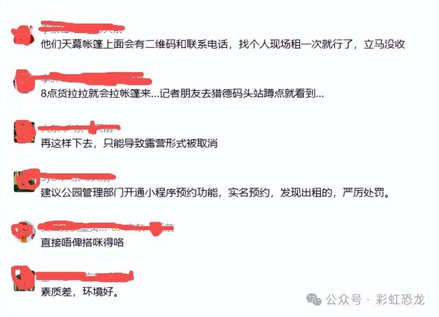 官方出手！临江公园禁止搭帐篷、明火烧烤，遛娃党狂喜（附攻略）