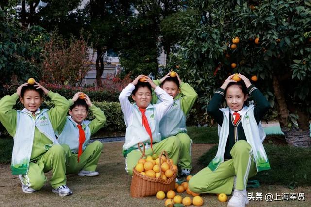 奉浦校园初冬美景大赏，你家娃的学校藏着这样的冬日浪漫