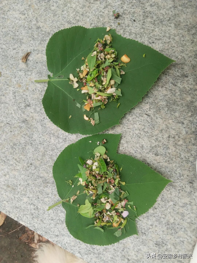 我在这个地球幸福的N个证据