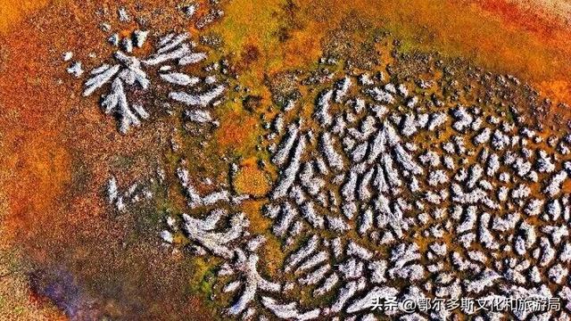 内蒙古杭锦旗：湿地秋景惹人醉