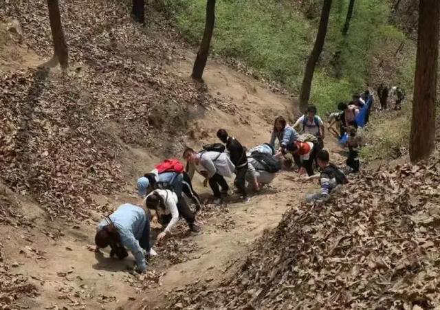 《华夏秋美教育集团：2025“十一+中秋”全民健身徒步登山活动》2