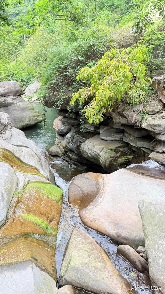 宜宾已经开启“烧烤模式”，这些清凉的地方可以去戏水纳凉