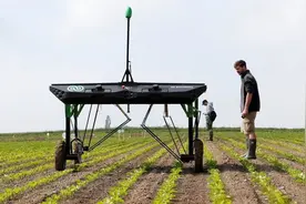 中国首台智能除草机器人，永不需要农药！何时推广减轻农民负担？图片
