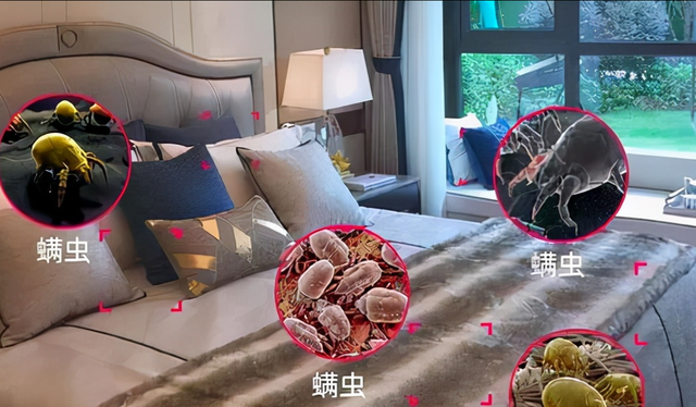家里被子有异味太难闻？教你这么做，不用晒不用洗，天天盖新被