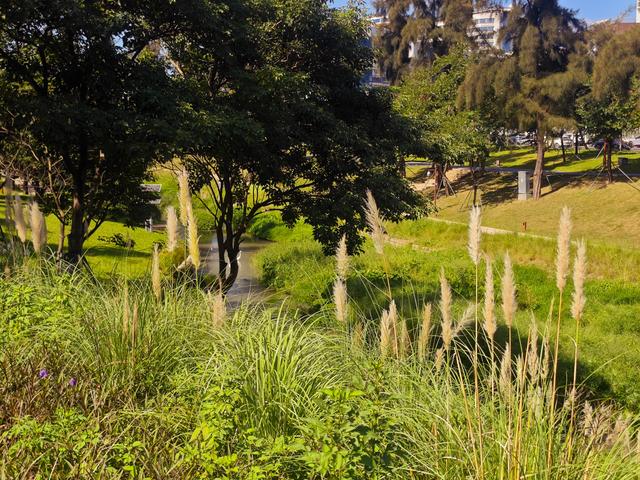 从学苑大道入大沙河绿过大学城后进深圳弯公园流花山景点【高清】