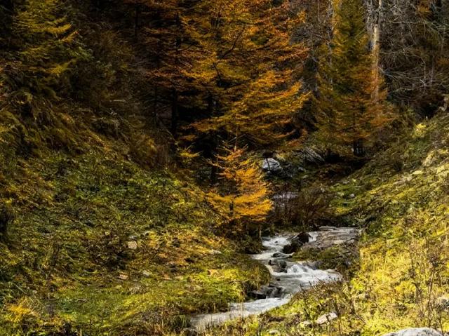 【文明旅游】山西：五台山的秋天，太治愈了！