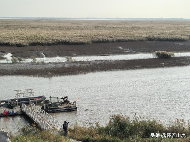 2025辽宁赏秋之旅日记(6)——到辽河口中国最北海岸线看日出 观鸟