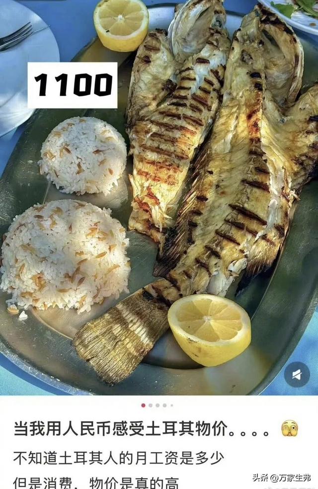 免签土耳其省了500签证费，第一批游客却哭了：没出机场就破产！