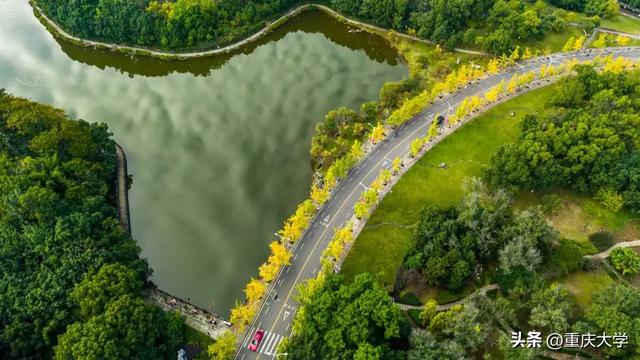 重大限定皮肤上新，超出片！🤳