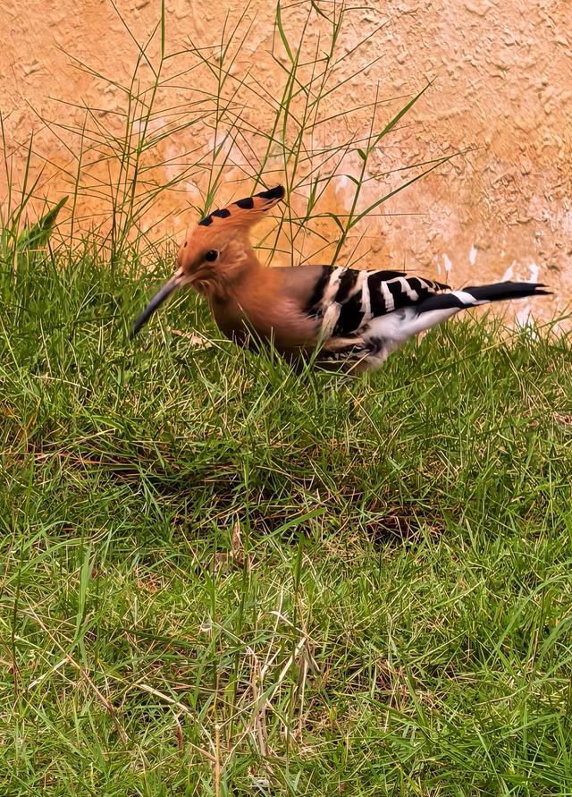 又回海南天来泉