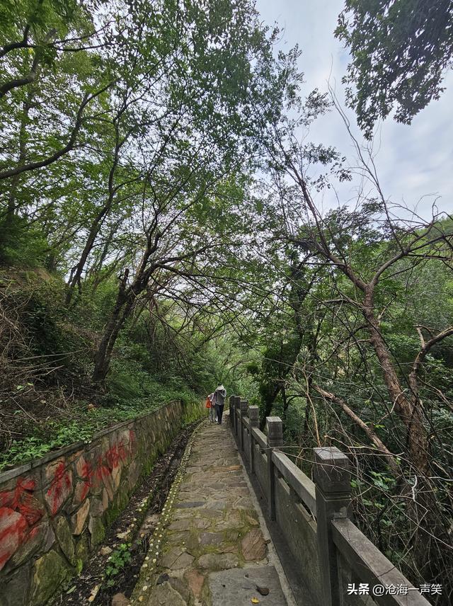 大山深处的路，悠长的，漫长的，斜长的，直长的，无路不长！