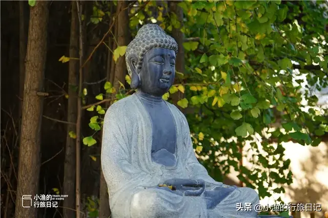 陕西古树，真的“封神”了！第二弹：秋天必看系列，最意外是它？