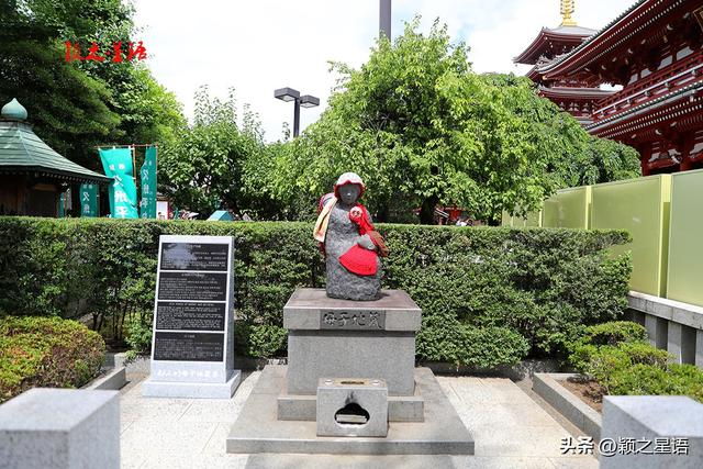 日本为啥人均寿命世界最高？为啥都喜欢到日本购物
