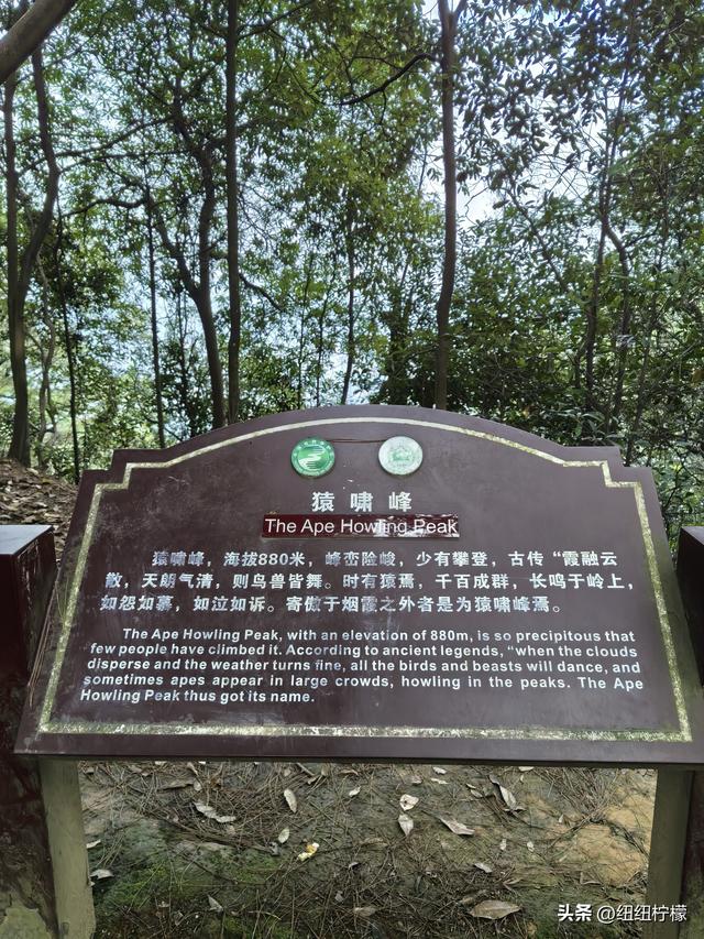 户外徒步之挑战缙云九峰，从健身梯道到狮子峰，走了四小时