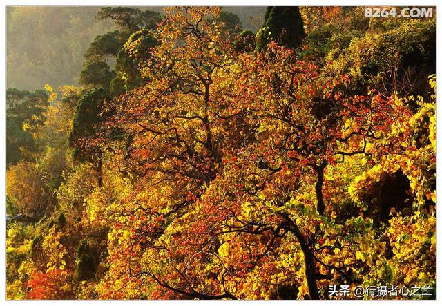 山东行游影记（193）—青州仰天山柿子沟（一）