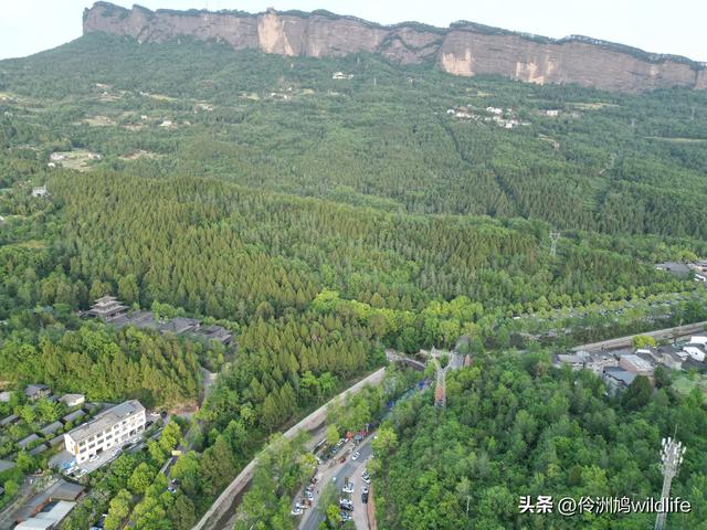 四川行(68)古蜀道——金牛道60公里徒步⑤普安到翠云廊沿途航拍