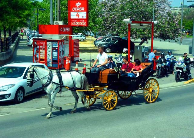 西班牙旅游：难忘从塞维利亚到直布罗陀行记（图）