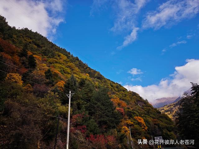 米亚罗彩林季，观赏一日游！