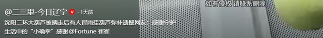 摘葫芦男“社会性死亡”：处罚曝光，婚礼取消，脸面和幸福都没了