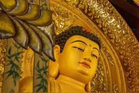 中国佛骨舍利分布图片