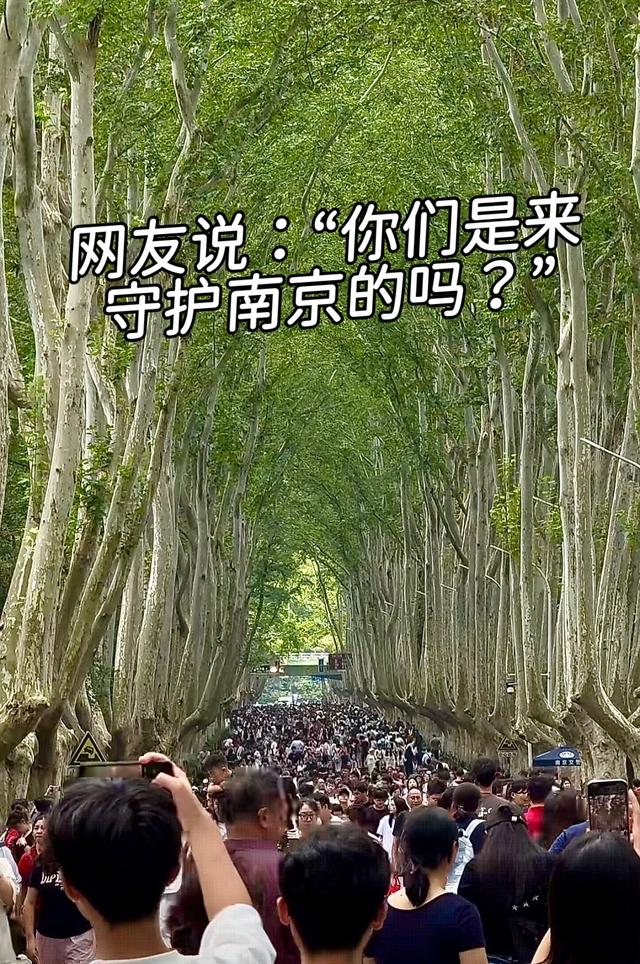 各大景区相继“沦陷”，新鲜数据出炉，网友：走了2亿人又来了3亿