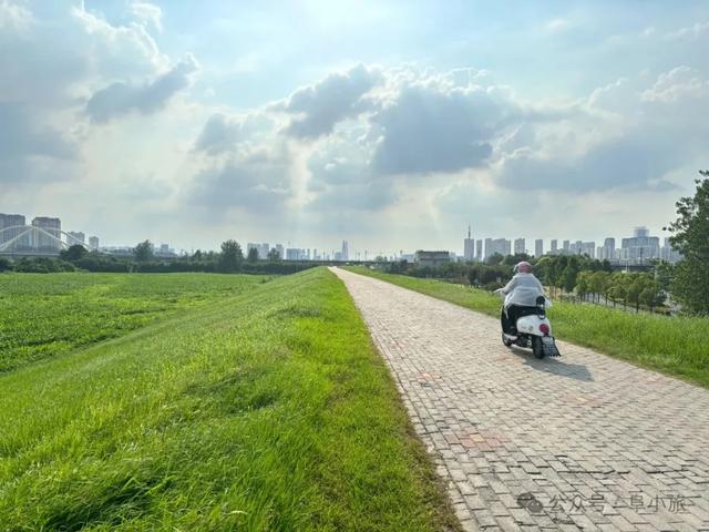 好美！就在阜裕大桥附近！“动漫场景”？阜阳实景！