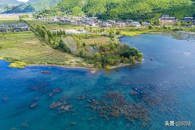 普洛码头的位置比较隐秘,却是泸沽湖的“花海C位”,风景美如画