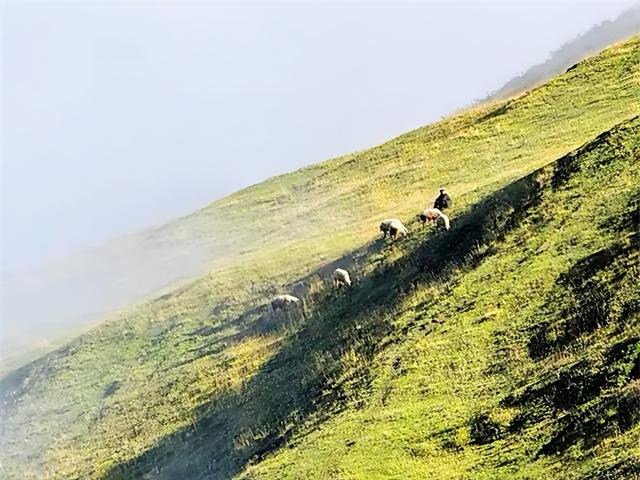 邂逅浪漫秘境 拥抱灵气氧吧
