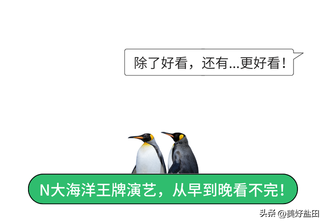 连续七天，教师免票！