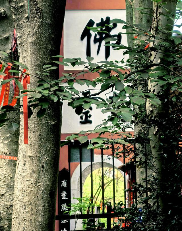 我是成都人，在湖南宁乡待了五天，憋不住想说说我的感受和疑问！