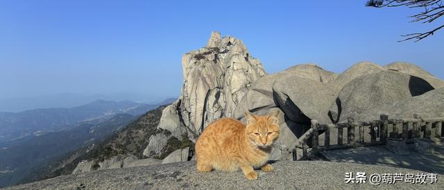 东北百家旅行商走进安徽 共赏江淮文旅暖冬新魅力！