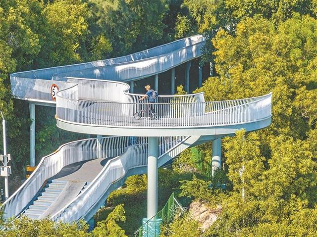 晶报特别报道 | 深圳山海骑行道加速贯通，近40万骑友解锁城市新风尚