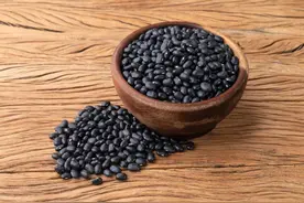 黑豆是养生佳品，但是选对品种很关键图片