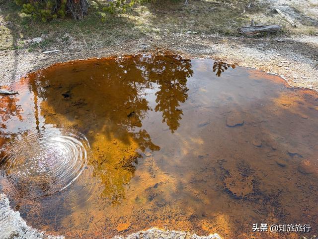 2025环球知旅——美西十三日(黄石公园5.9)