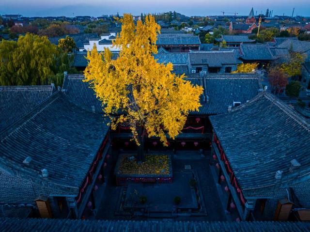 抓住秋天的尾巴 | 台儿庄古城秋色打卡指南，附私藏机位！