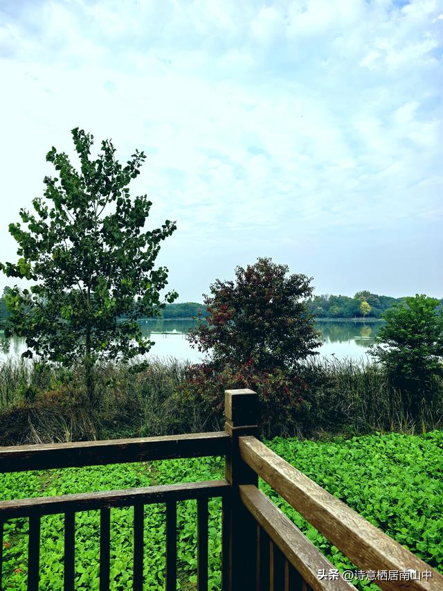 东湖绿道东西大环线五十公里畅快骑行！