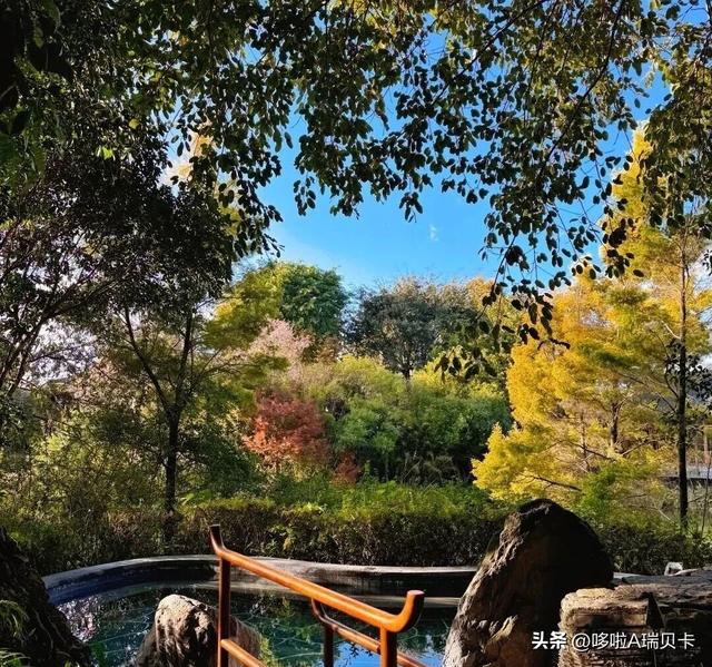 退休后一定要在这6座城市旅居，消费不高生活安逸，来了就不想走