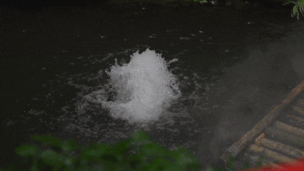 在惠州过年，这些一定要知道！