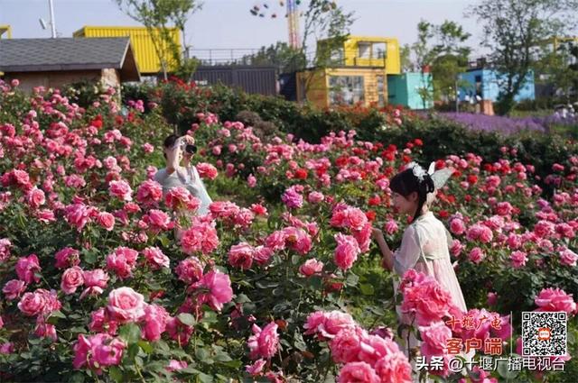 金秋郧阳邀您赴约：双节同庆，共启千年文化盛宴
