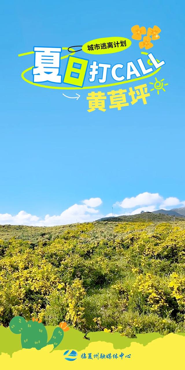 海报｜夏日，奔赴那片黄草坪
