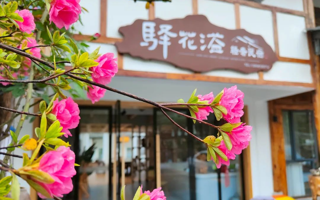 住进昭化，在青砖黛瓦间邂逅古城慢时光！